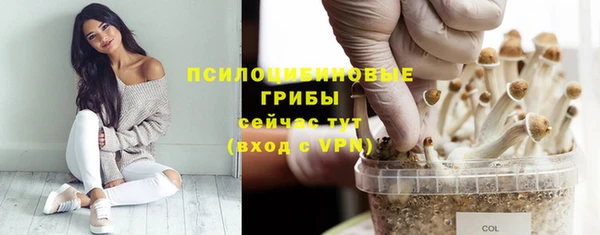 ПСИЛОЦИБИНОВЫЕ ГРИБЫ Армянск
