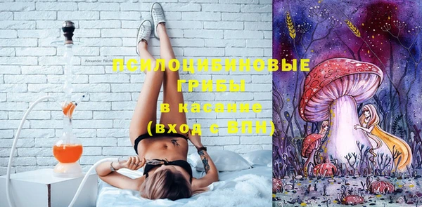 ПСИЛОЦИБИНОВЫЕ ГРИБЫ Армянск