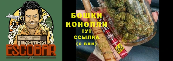 ПСИЛОЦИБИНОВЫЕ ГРИБЫ Армянск