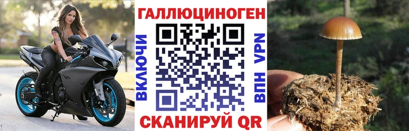 Галлюциногенные грибы мицелий  Купить где  Таруса 