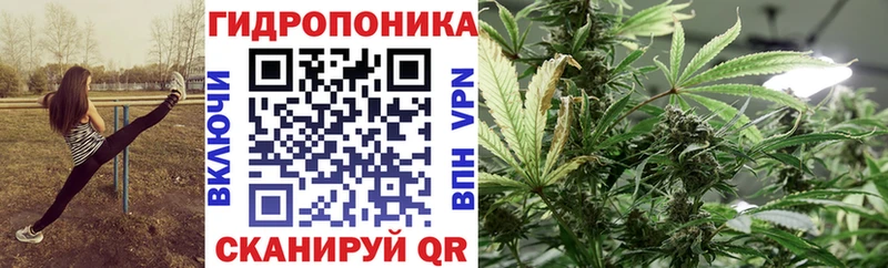 Бошки Шишки White Widow  Купить закладки  Таруса 